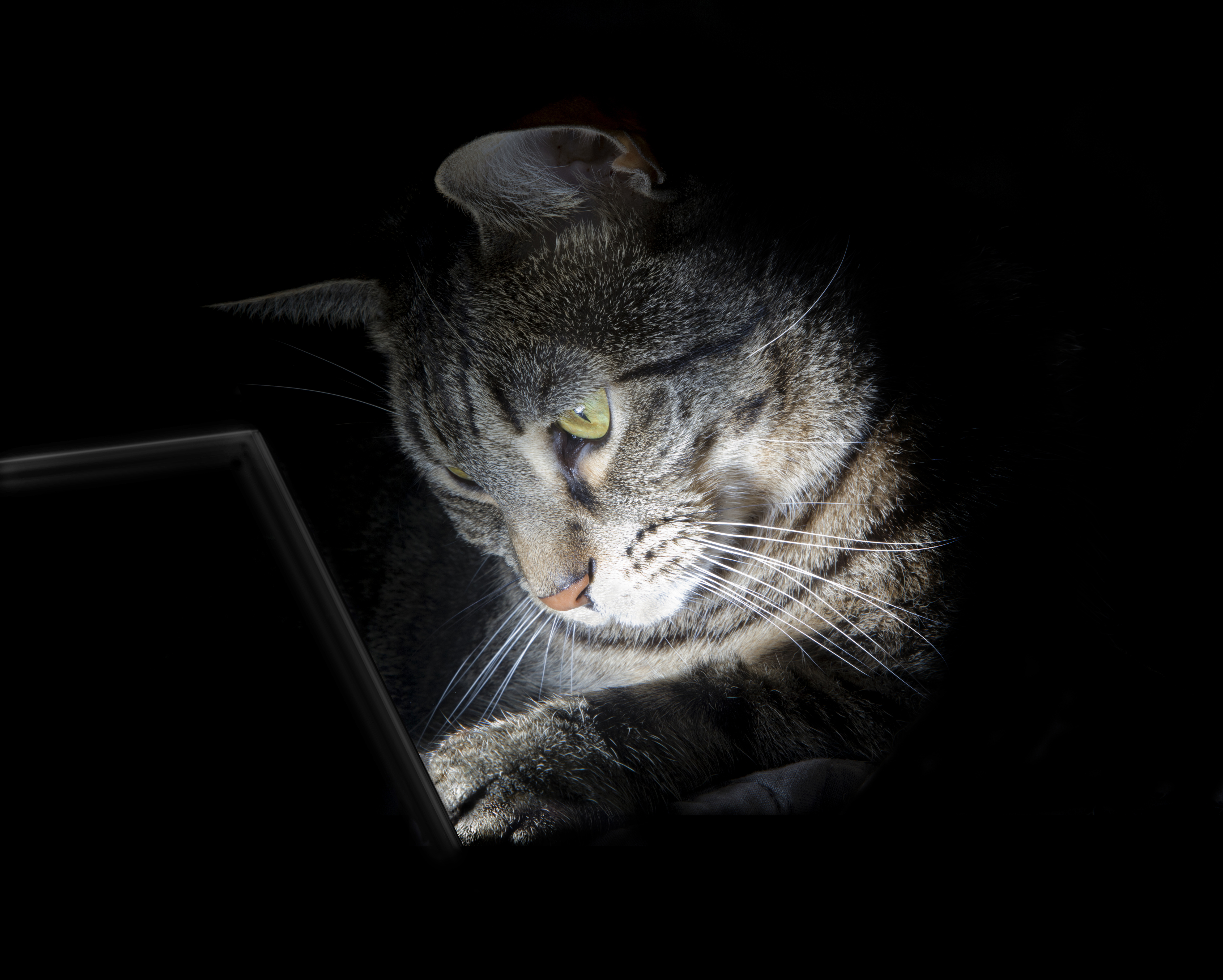 we-let-openclaw-loose-on-an-internal-network-here-s-what-it-found-featured.jpg